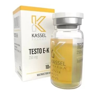 TESTO E-K KASSEL